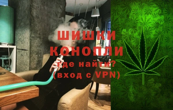 PSILOCYBIN Богданович