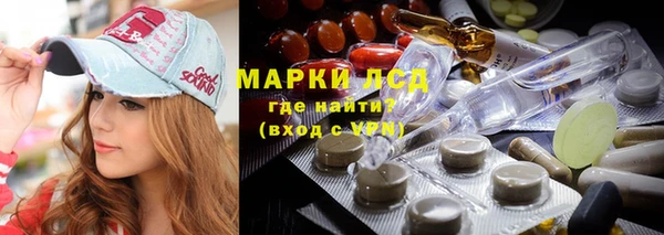 PSILOCYBIN Богданович