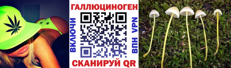 Галлюциногенные грибы Magic Shrooms наркотики Бутурлиновка